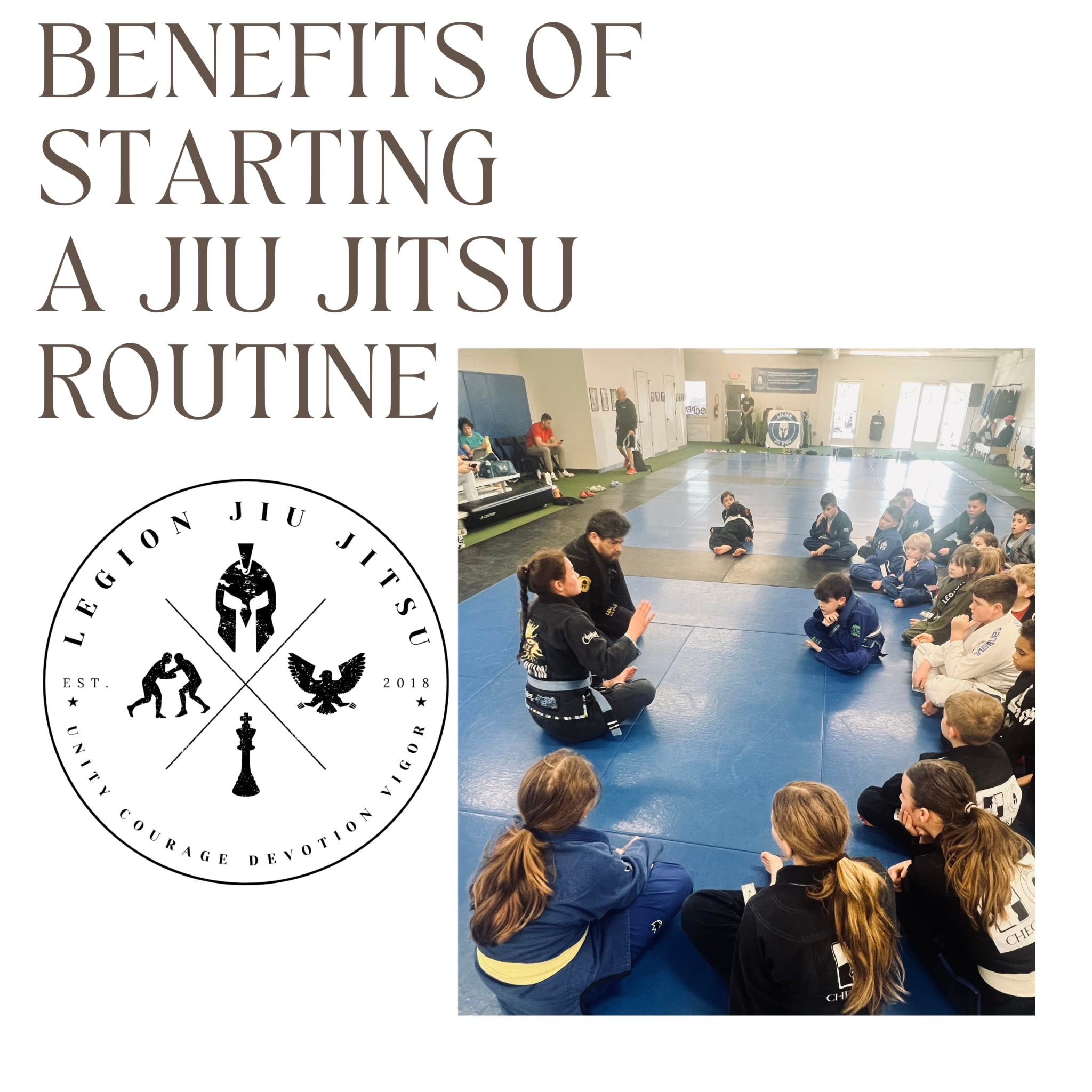 The Everyday Benefits of Starting a Jiu Jitsu Routine, By Anthony Pascarella, Brown Belt Jiu Jitsu, Legion Jiu Jitsu in Hendersonville, TN